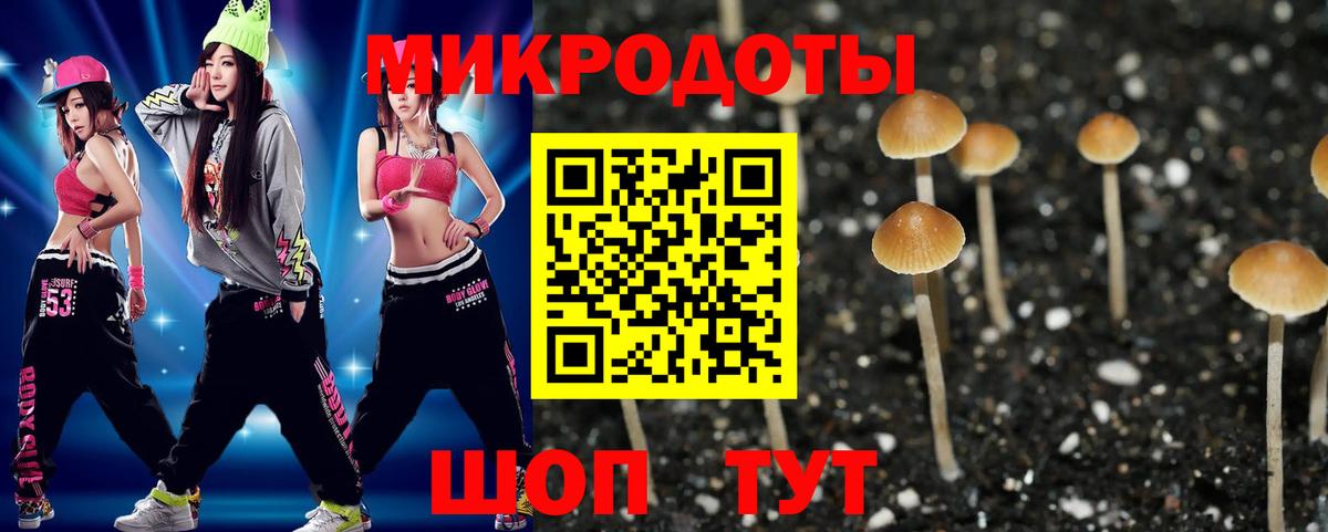 купить   Галлюциногенные грибы Psilocybe  Вход с VPN  Карталы 